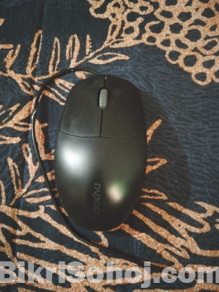 Mouse